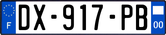 DX-917-PB
