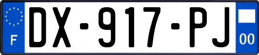 DX-917-PJ