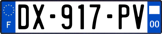 DX-917-PV