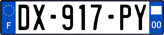 DX-917-PY