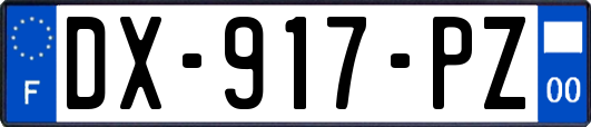DX-917-PZ