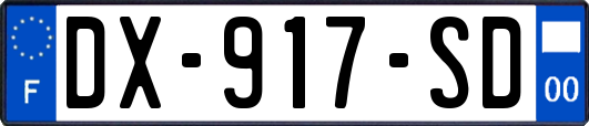 DX-917-SD