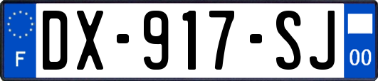 DX-917-SJ