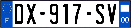 DX-917-SV