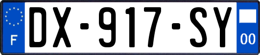 DX-917-SY
