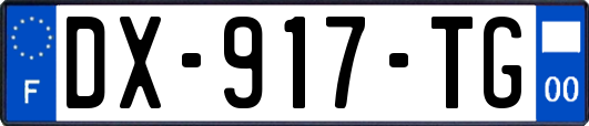 DX-917-TG