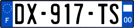 DX-917-TS