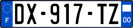 DX-917-TZ