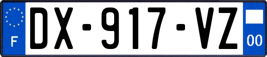DX-917-VZ
