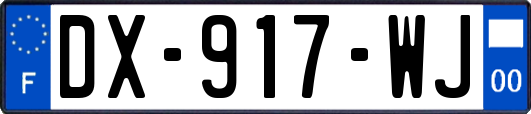 DX-917-WJ