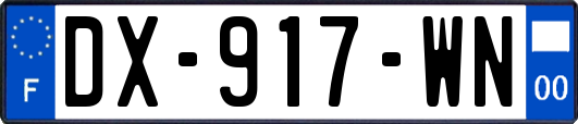 DX-917-WN