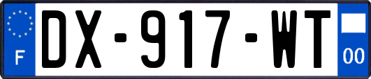 DX-917-WT