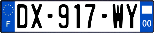 DX-917-WY