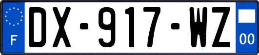 DX-917-WZ