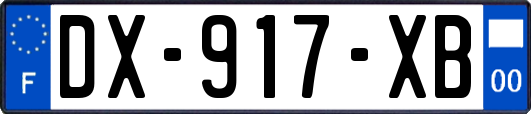 DX-917-XB