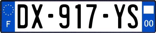 DX-917-YS