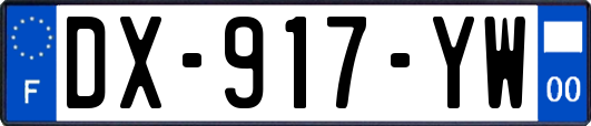 DX-917-YW