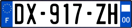 DX-917-ZH