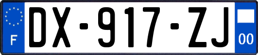 DX-917-ZJ