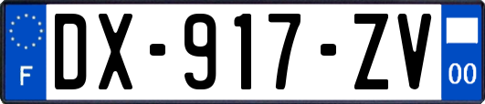 DX-917-ZV