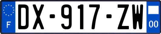 DX-917-ZW