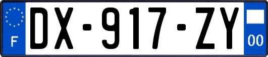 DX-917-ZY