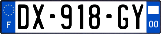 DX-918-GY