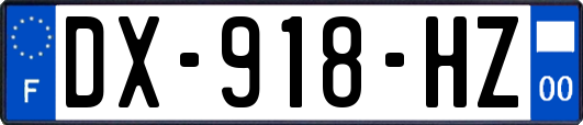 DX-918-HZ