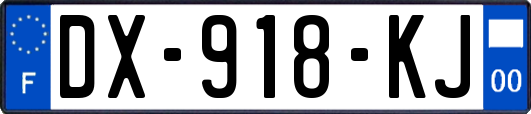 DX-918-KJ