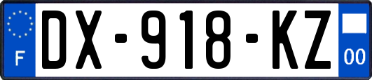 DX-918-KZ