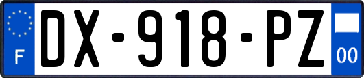 DX-918-PZ