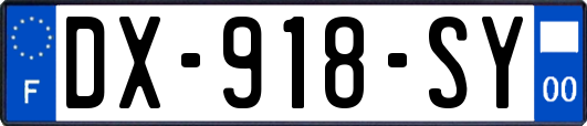 DX-918-SY