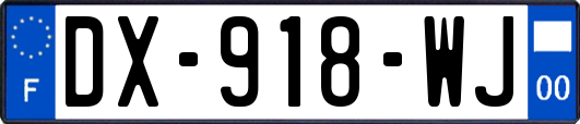 DX-918-WJ