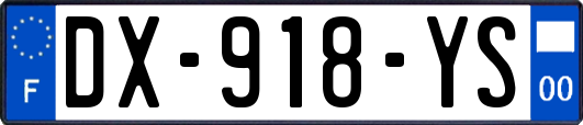 DX-918-YS