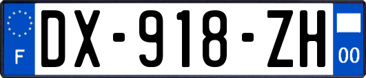 DX-918-ZH