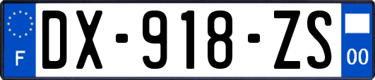 DX-918-ZS