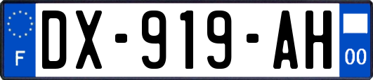 DX-919-AH