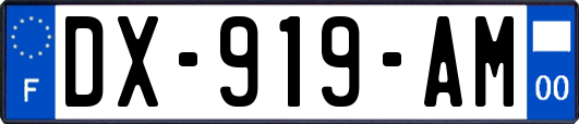 DX-919-AM