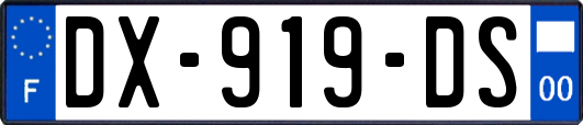 DX-919-DS