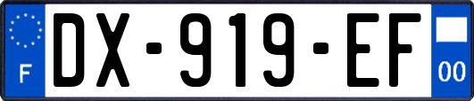DX-919-EF