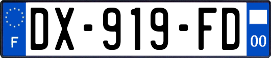 DX-919-FD