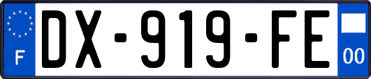 DX-919-FE