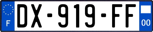 DX-919-FF