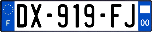 DX-919-FJ