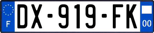 DX-919-FK