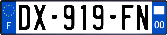 DX-919-FN