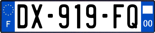 DX-919-FQ