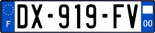 DX-919-FV
