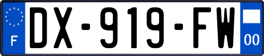 DX-919-FW