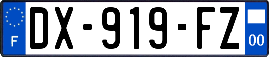 DX-919-FZ